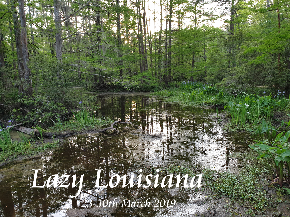 Louisiana - Mar 2019