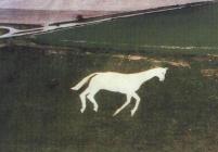 The finished horse from the air