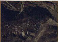 Atacama Geoglyphs