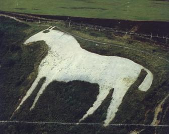 Aerial photo of the horse