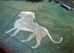 The Lion from the Air