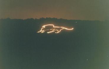 The Lion Illuminated at Night