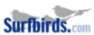 My Surfbirds Video page