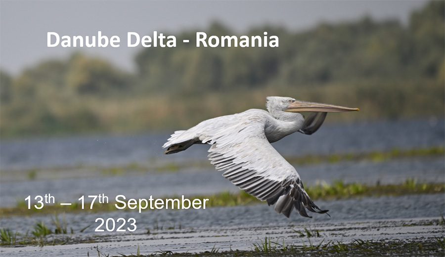 Danube - June 2023