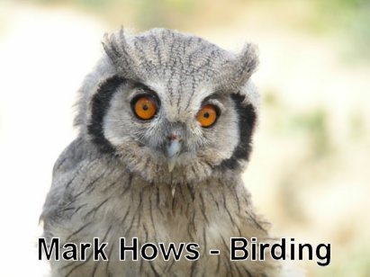 Mark's Birding Site